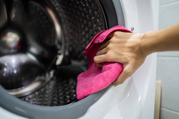 Best Mold Damage Restoration  in St Francis, WI