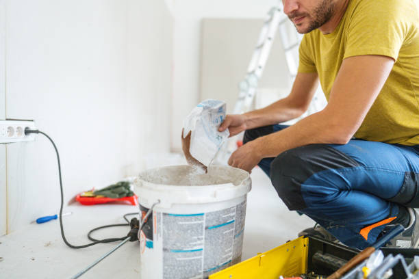 Best Emergency Mold Remediation  in St Francis, WI
