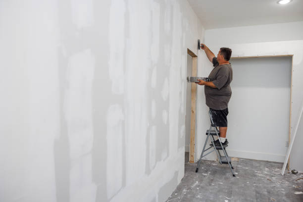 Best Mold-Related Health Consultation  in St Francis, WI