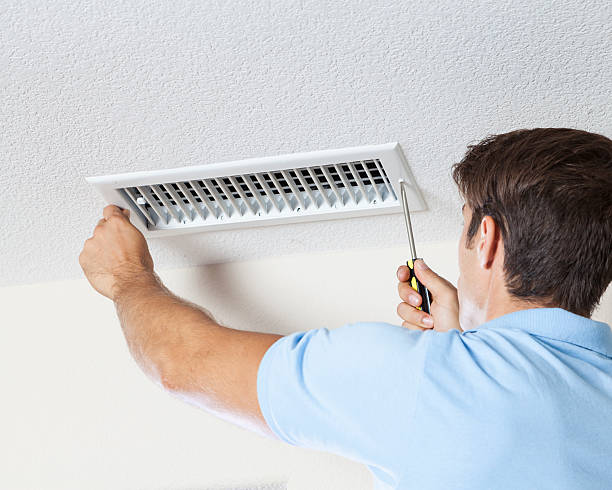 Professional Mold Removal in St Francis, WI