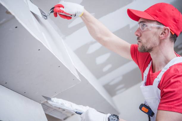  St Francis, WI Mold Removal Pros